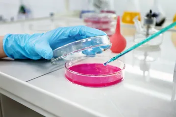 Cell Culture