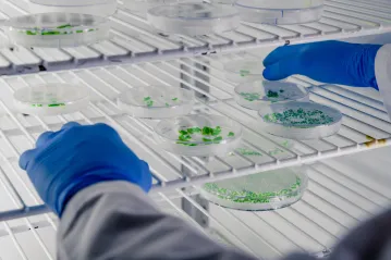 Microbiology Incubators