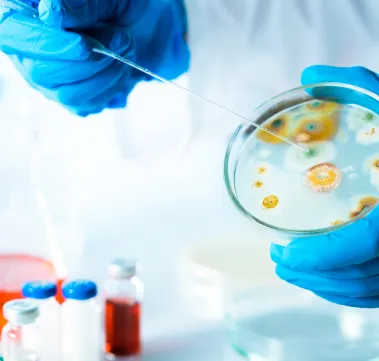 Clinical Microbiology