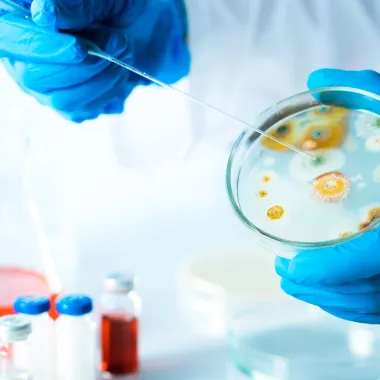 Clinical Microbiology